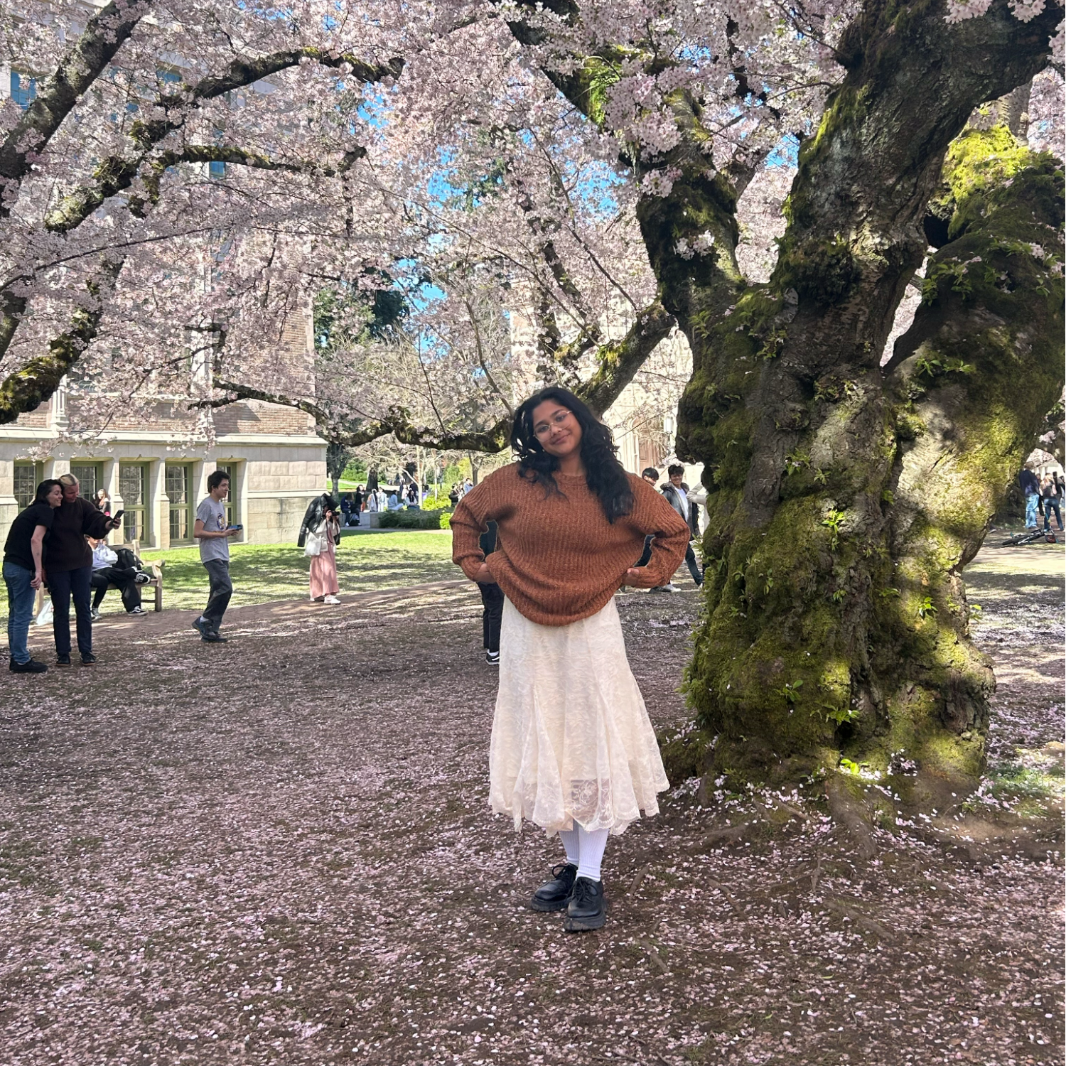 A picture of a young indian american girl with curly hair wearing a sweater and a long white skirt and smiling in front of the cherry blossoms.